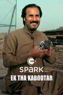 Eik Tha Kabootar Poster 3