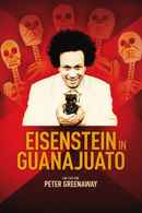 Eisenstein in Guanajuato Poster 5