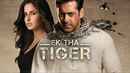 Ek Tha Tiger Poster 3