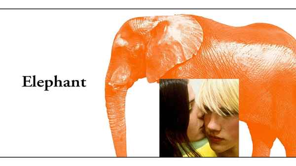 Elephant Poster 6