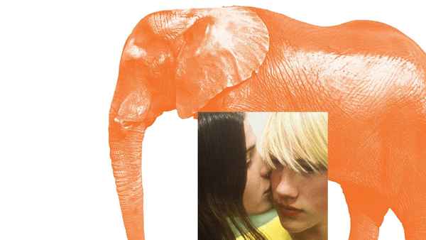 Elephant Poster 7