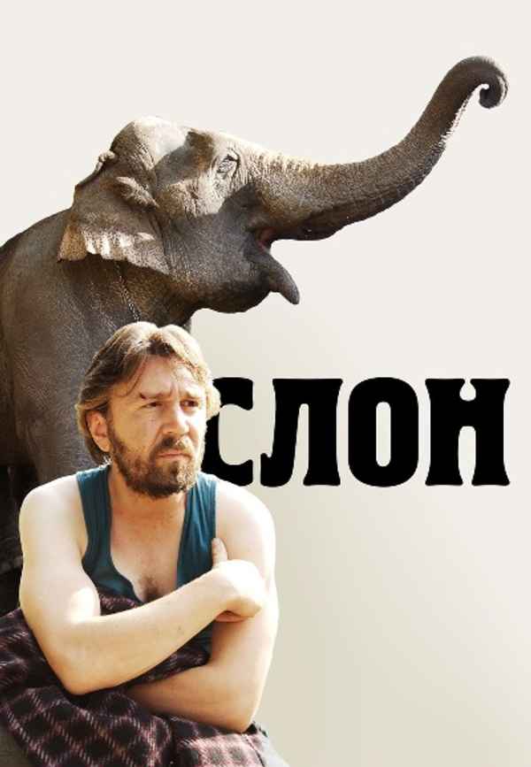Elephant Poster 2