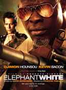 Elephant White Poster 2