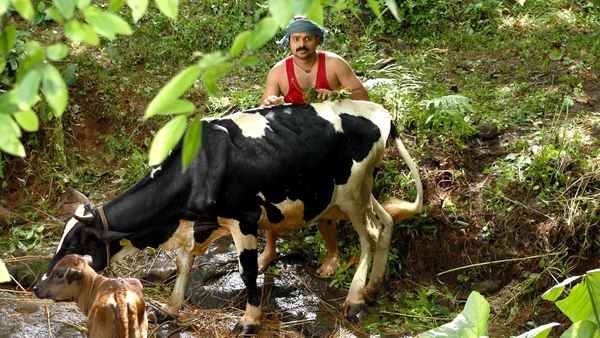 Elsamma Enna Aankutty Poster 3