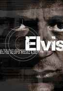 Elvis Poster 5