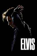 Elvis Poster 3