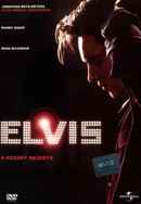 Elvis Poster 6
