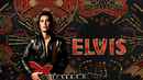 Elvis Poster 2