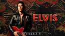 Elvis Poster 6