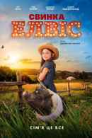 Elvis the Pig Poster 3