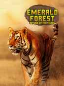 Emerald Forest: Return Of The Tigers Poster 7
