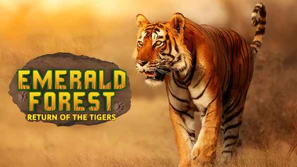 Emerald Forest: Return Of The Tigers Poster 2
