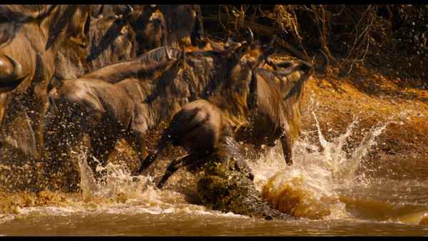 Enchanted Kingdom Poster 3