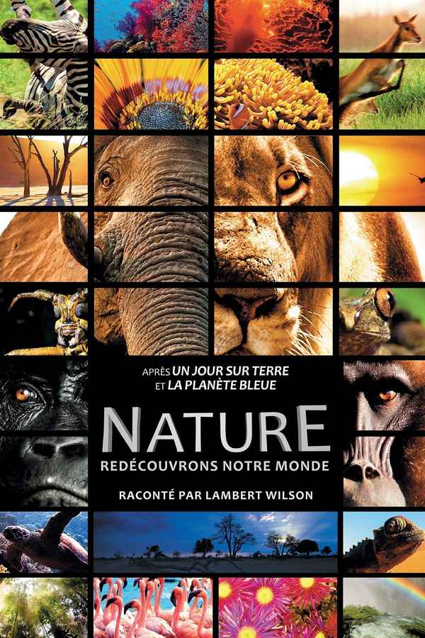 Enchanted Kingdom Poster 7