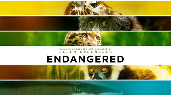 Endangered Poster 4