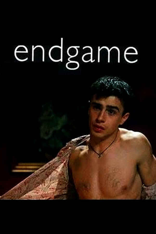 Endgame Poster 7