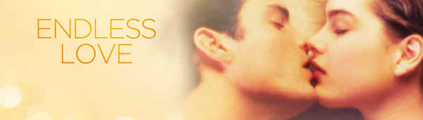Endless Love Poster 6