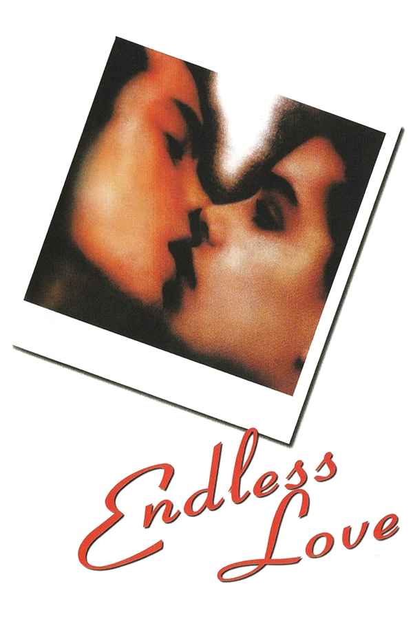 Endless Love Poster 5