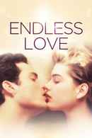 Endless Love Poster 3