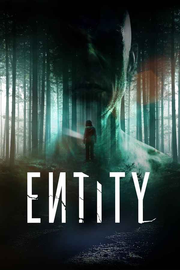 Entity Poster 1