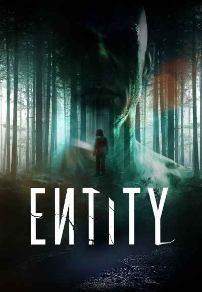 Entity