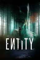 Entity Poster 2