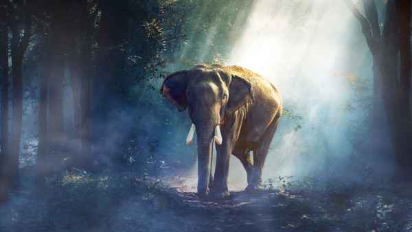 Equator's Wild Secrets Poster 4