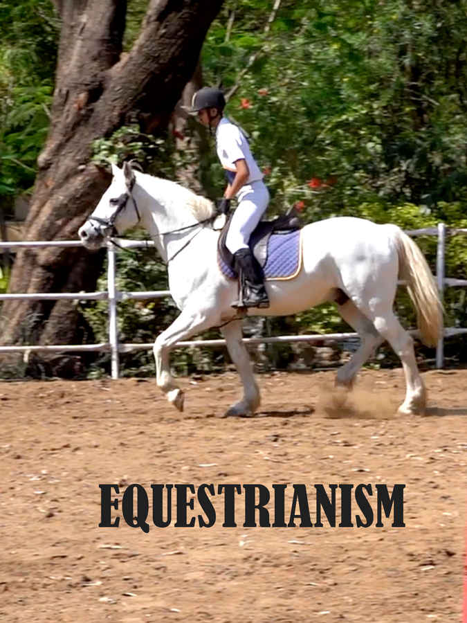 Equestrianism