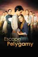 Escape from Polygamy Poster 2