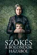 Escaping the Madhouse: The Nellie Bly Story Poster 6