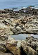 Eternal Beach Poster 2