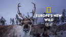 Europe's New Wild Poster 5
