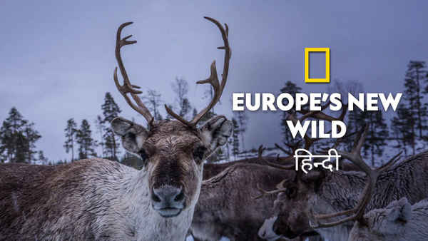 Europe's New Wild Poster 5