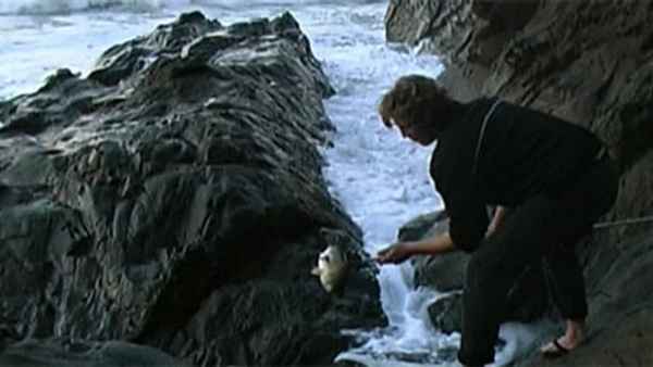 Ever Since the World Ended Poster 1