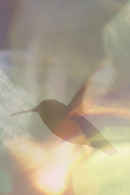 Every Little Thing Poster 3