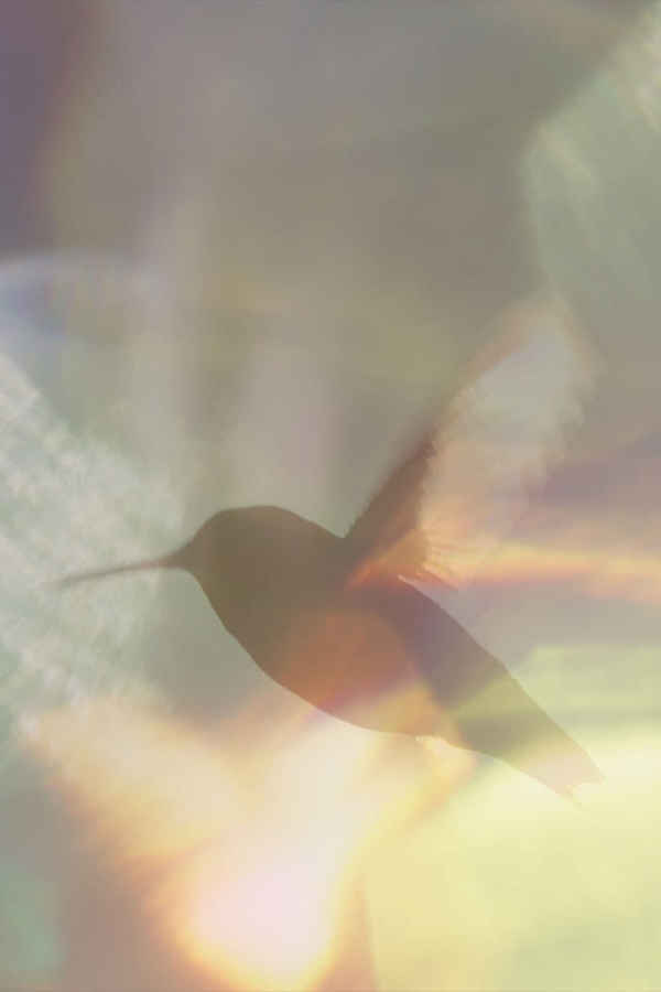 Every Little Thing Poster 3