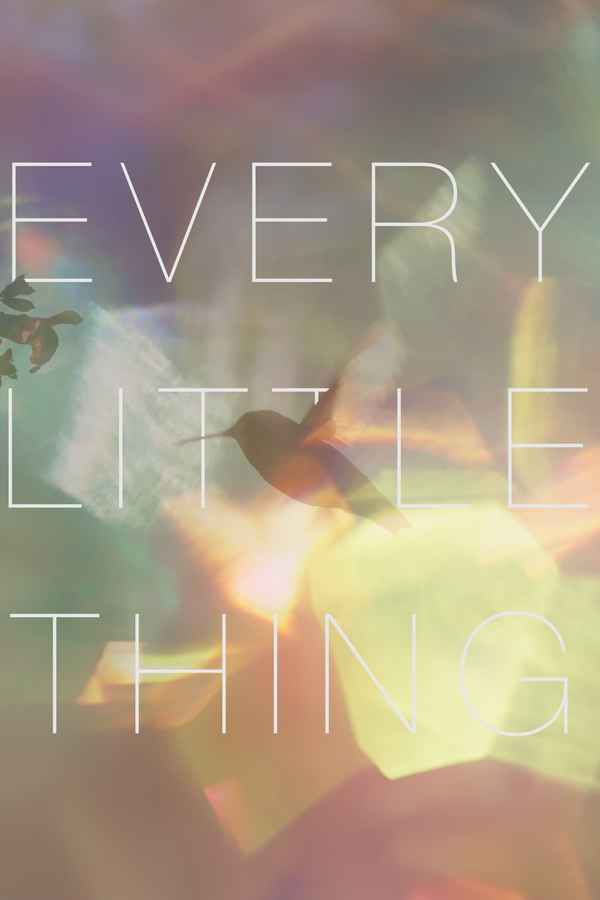Every Little Thing Poster 2