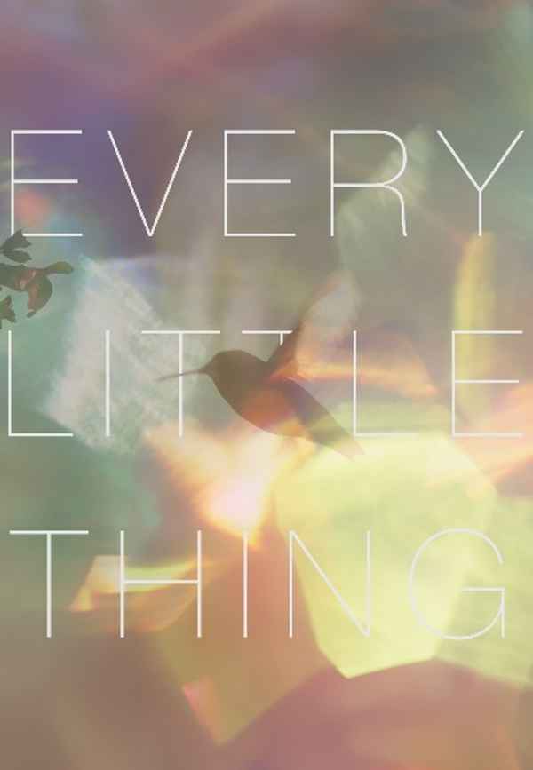Every Little Thing Poster 4