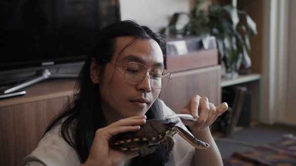 Evicted! A Modern Romance Poster 1