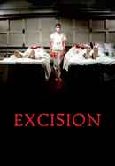 Excision Poster 4