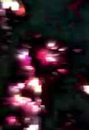 Exhaustive Separation Poster 6