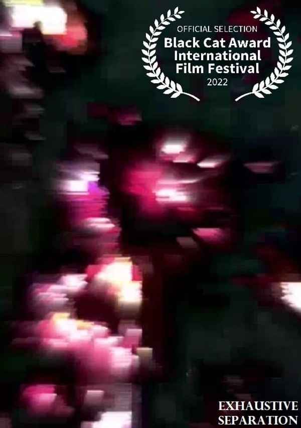 Exhaustive Separation Poster 4