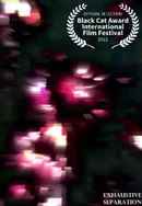 Exhaustive Separation Poster 7