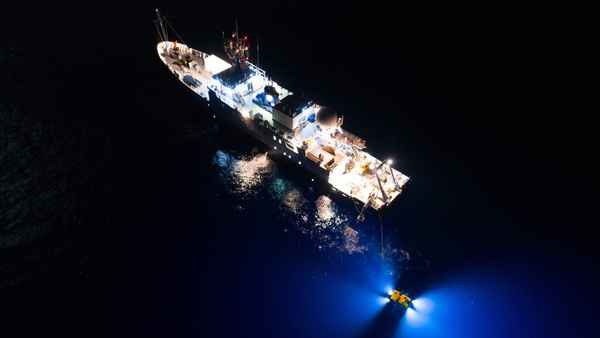 Expedition Amelia Poster 6