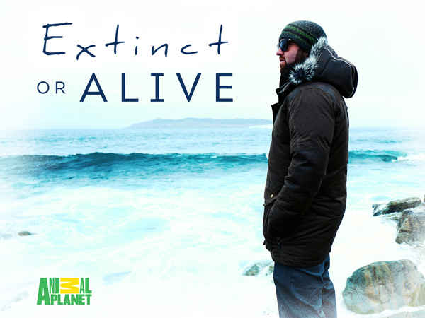 Extinct Or Alive Poster 2