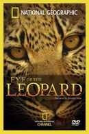 Eye of the Leopard Poster 4