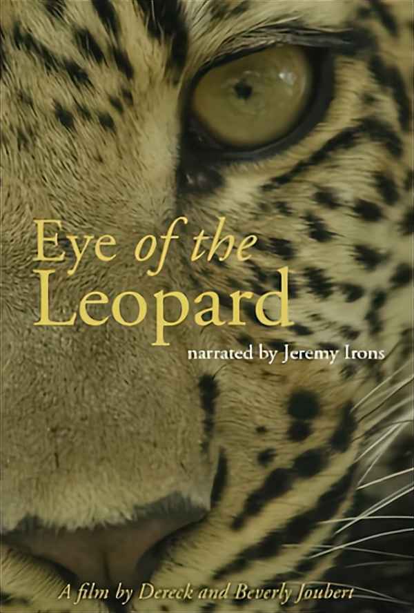 Eye of the Leopard Poster 2