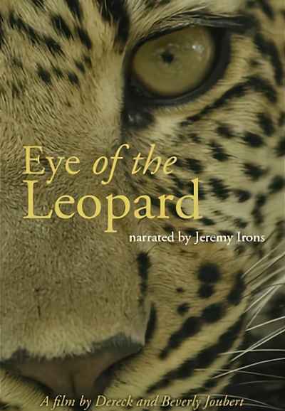 Eye of the Leopard