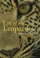 Eye of the Leopard Poster 5