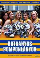 Fab Five: The Texas Cheerleader Scandal Poster 5